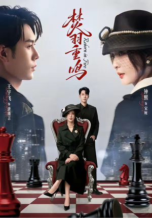 焚羽重鸣（60集）剧好看短剧推荐