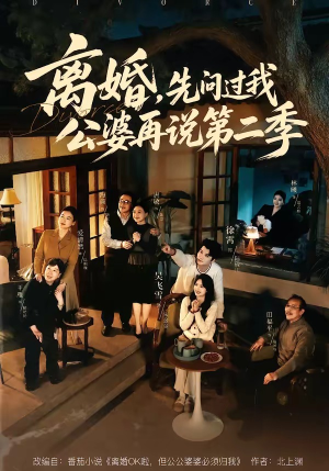 离婚，先问过我公婆再说第二季（90集）分享热门短剧