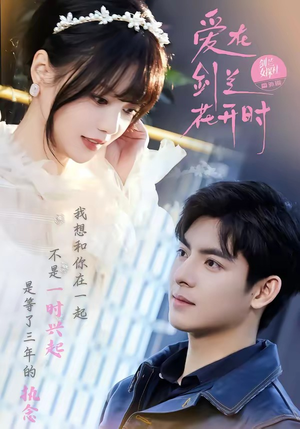 爱在剑兰花开时（56集）古装短剧推荐