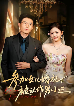 参加女儿婚礼，被认作男小三（36集）精彩连连免费看