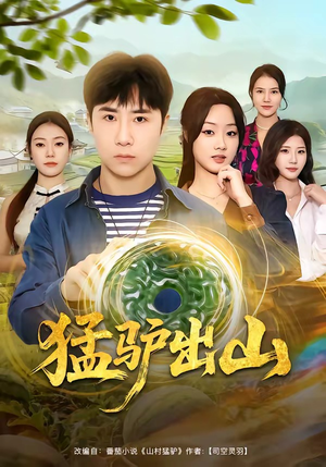 猛驴出山（80集）高分推荐免费看