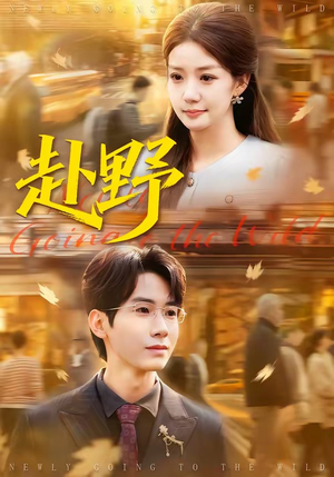 赴野（40集）古代短剧推荐