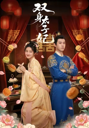 双身太子妃（66集）高清画质免费看
