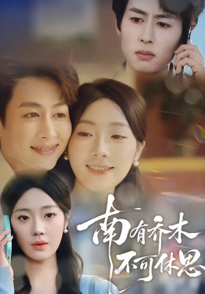 南有乔木，不可休思（68集）免费短剧推荐