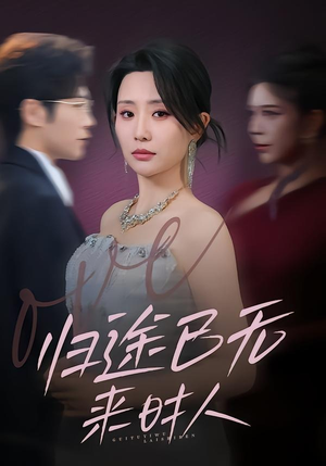 归途已无来时人（70集）经典老剧免费看