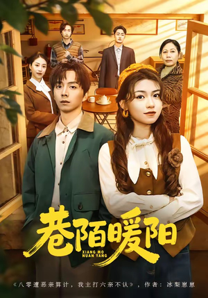 巷陌暖阳（80集）免费全集短剧