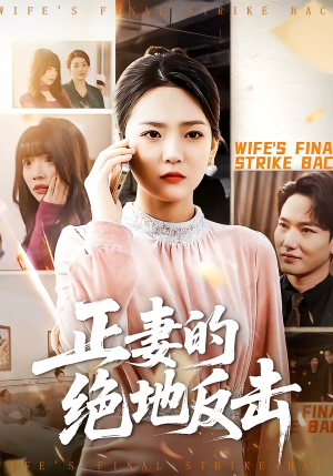 正妻的绝地反击（76集）免费观看