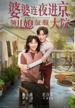 婆婆连夜进京，领儿媳征服大院（78集）解说