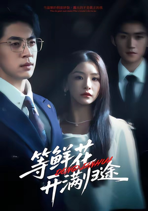 等鲜花开满归途（61集）在线播放