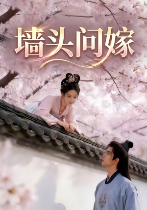 墙头问嫁（29集）超级好看的短剧