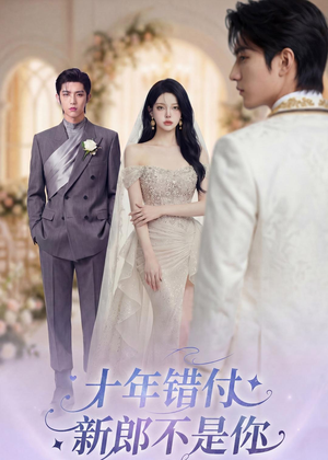 十年错付，新郎不是你（51集）热门短剧大全