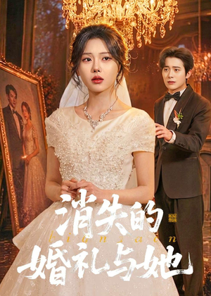 消失的婚礼与她（70集）男主角是谁