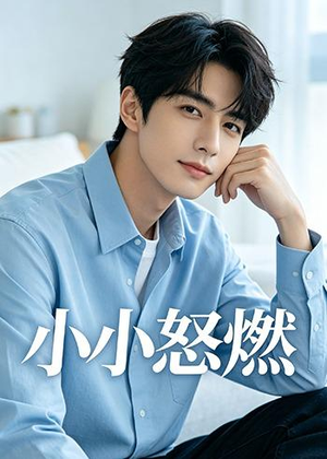 小小怒燃（19集）精彩短剧天天看