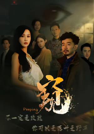 窥（37集）好看吗