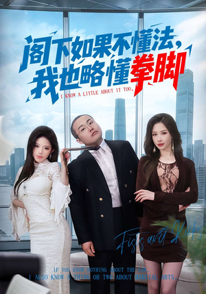 阁下如果不懂法，我也略懂拳脚（77集）最热短剧推荐