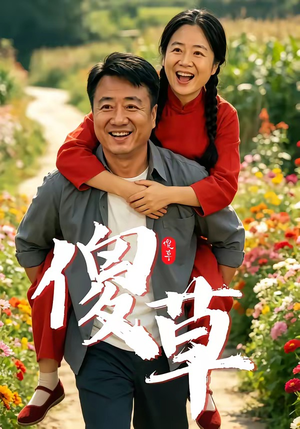 傻草（71集）免费观看完整版