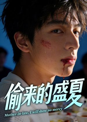 偷来的盛夏（40集）短剧更新抢先看