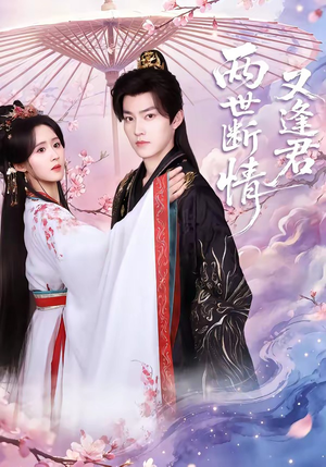 两世断情又逢君（71集）短剧抢先看全集