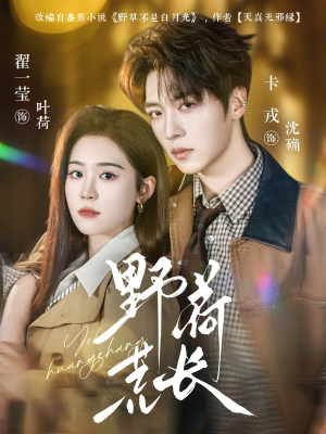 野荷荒长（86集）最新上映免费看