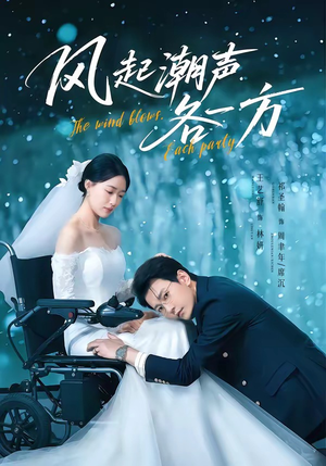 风起潮声各一方（84集）全剧看到大结局