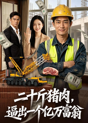 二十斤猪肉，逼出一个亿万富翁（62集）推荐你们也去看