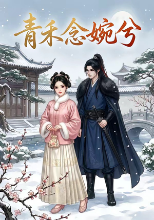 青禾念婉兮（17集）真的好看吗