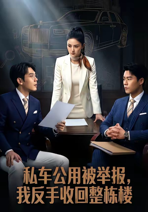 私车公用被举报，我反手收回整栋楼（71集）第一集