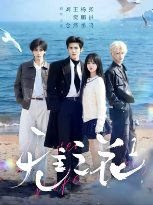 无主之花1（72集）一起追生活短剧