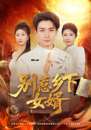 别惹乡下女婿（80集）大结局一气呵成