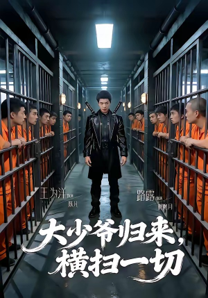 大少爷归来，横扫一切（80集）热播短剧分享