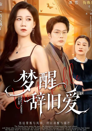 梦醒辞旧爱（55集）免费看全集