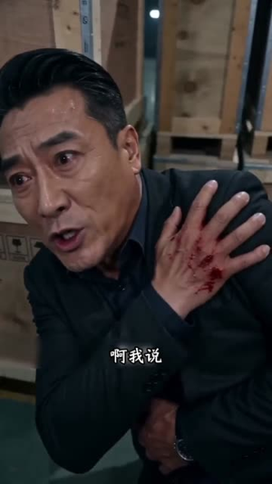 父辱子归（20集）短剧全集大结局