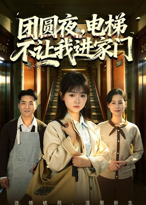 团圆夜，电梯不让我进家门（52集）火爆短剧来袭