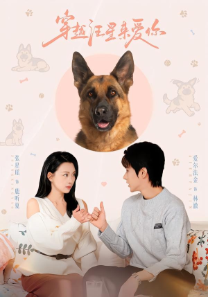 穿越汪星来爱你（62集）迅雷网盘观看