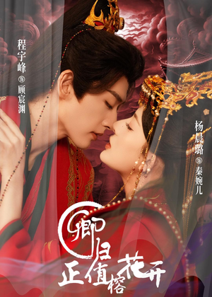 卿归正值榕花开（70集）完整版免费观看