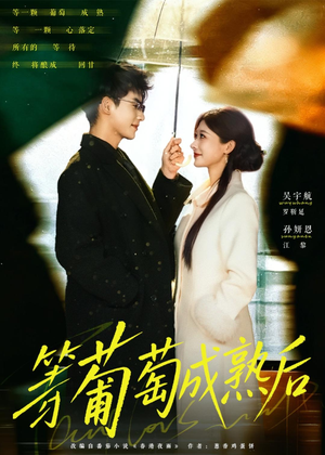 等葡萄成熟后(82集) 等葡萄成熟后(82集)上热门短剧