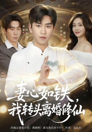 妻心如铁我转头离婚修仙(81集) 妻心如铁我转头离婚修仙(81集)精彩的网络短剧