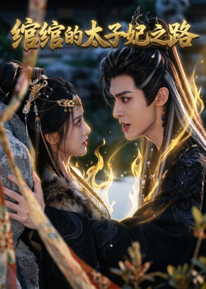绾绾的太子妃之路(37集) 绾绾的太子妃之路(37集)在线看免费版