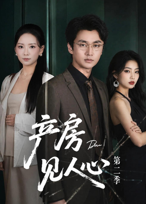 产房见人心第二季（75集）全集免费看短剧