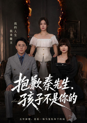 抱歉秦先生，孩子不是你的（53集）番茄短剧看全集
