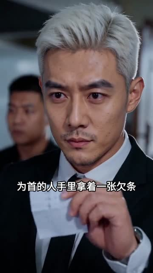 味战巅峰（41集）红果短剧免费看