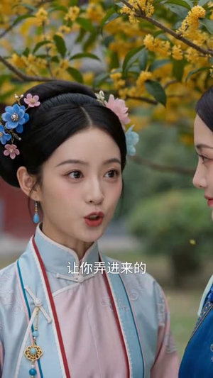 深宫活命途（66集）全季一次看完