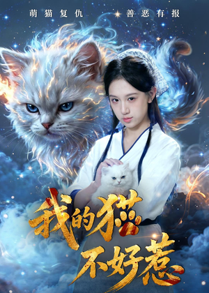 我的猫不好惹（42集）精彩短剧追不停
