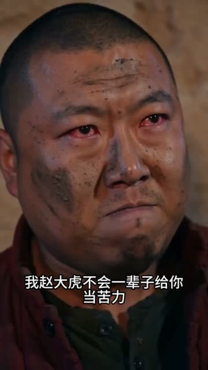 岁月无声：从破窑洞开始的丰收年代（62集）更新时间一览表