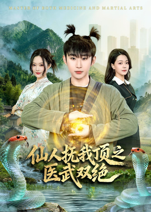 仙人抚我顶之医武双绝（66集）短剧越看越精彩