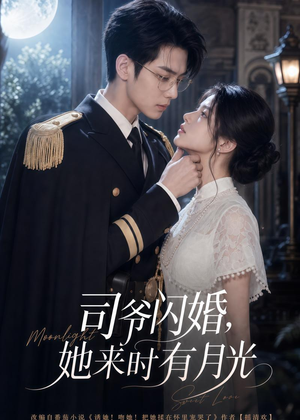 司爷闪婚,她来时有月光(93集) 司爷闪婚,她来时有月光(93集)短剧全集抢先看