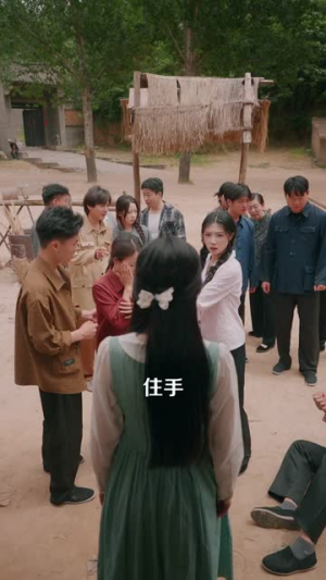 下乡的雇佣兵不好惹(80集) 下乡的雇佣兵不好惹(80集)简直不要太好看