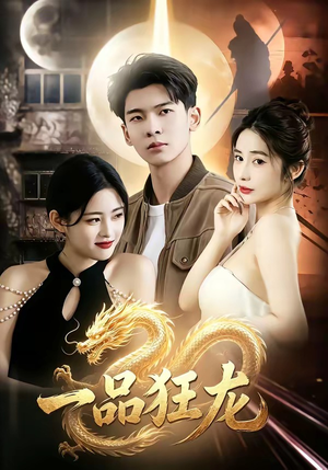 一品狂龙（68集）第一季
