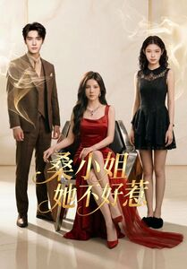 桑小姐她不好惹（103集）百亿短剧抢先看