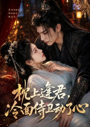 枕上逢君,冷面侍卫动了心(92集) 枕上逢君,冷面侍卫动了心(92集)短剧解说热门
